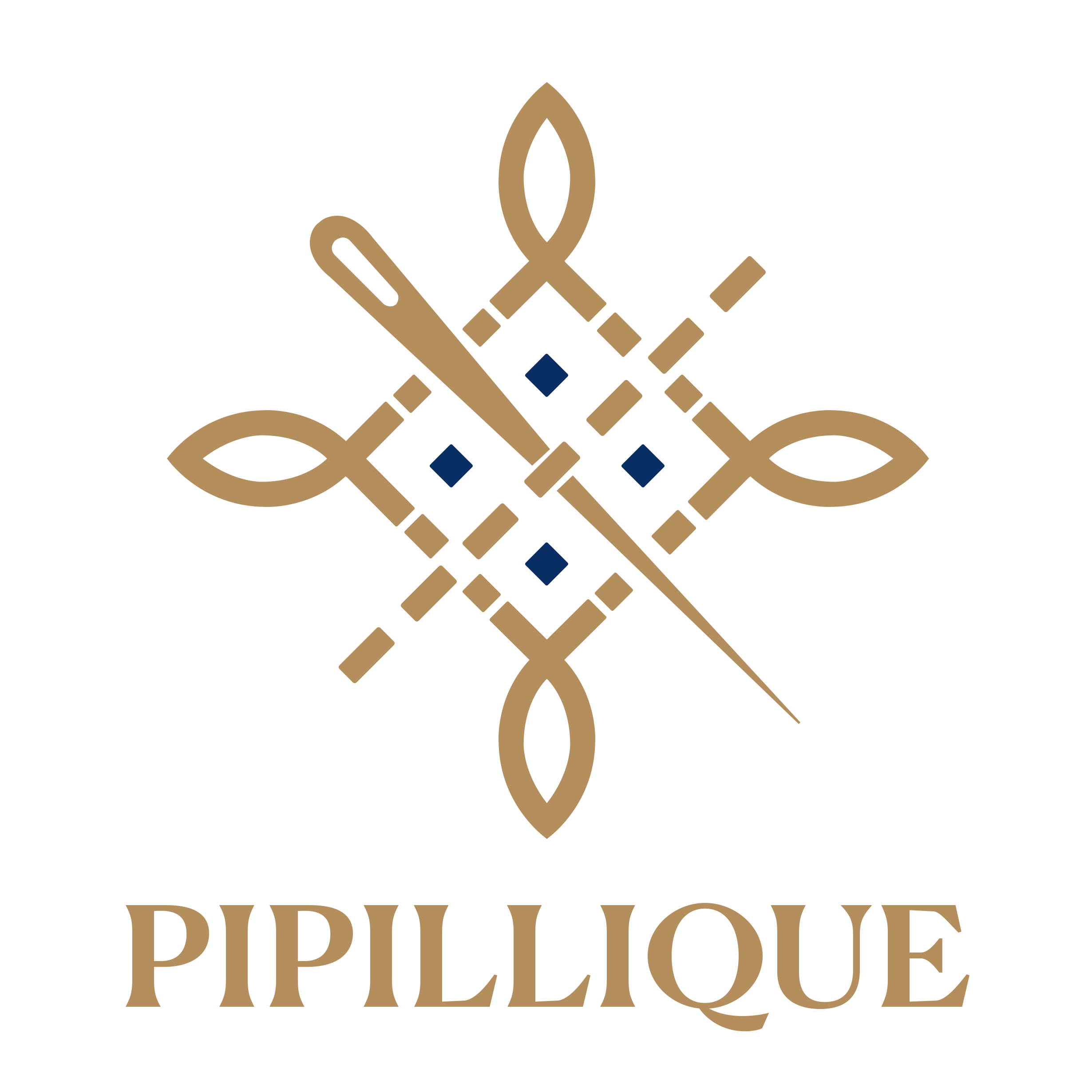 Pipillique Mahila Hastshilp Producer Company Limited